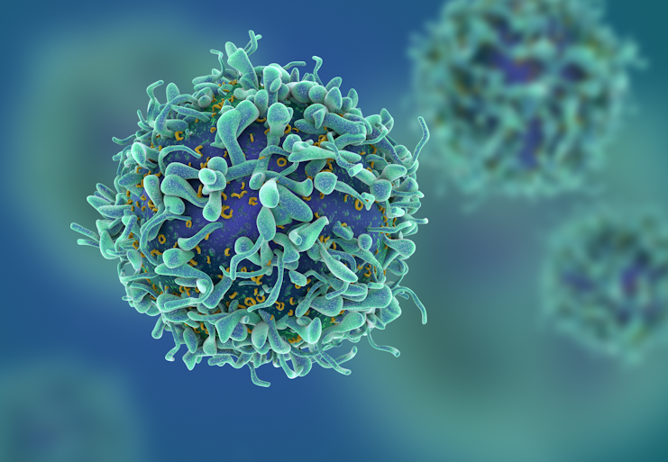 Immune Modulation